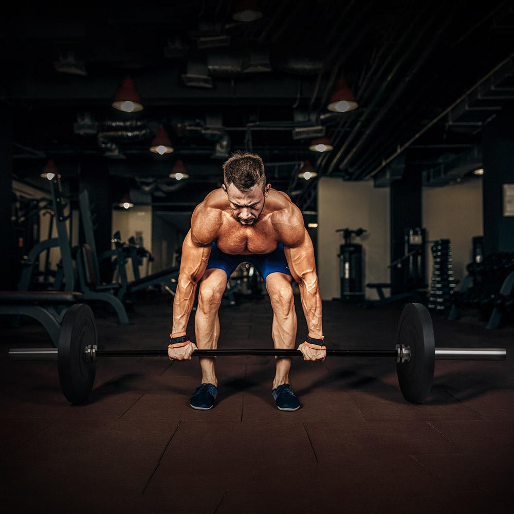 Bumper Plates Workout