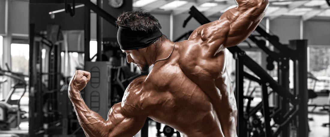 Build a V-Shaped Back with Power Rack